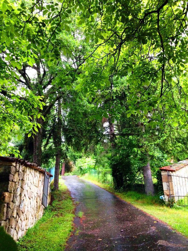 Il Mio Rifugio Casa de hóspedes Gaggio Montano Exterior foto
