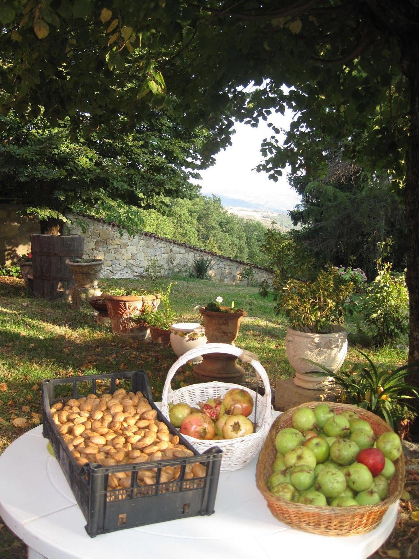 Il Mio Rifugio Casa de hóspedes Gaggio Montano Exterior foto